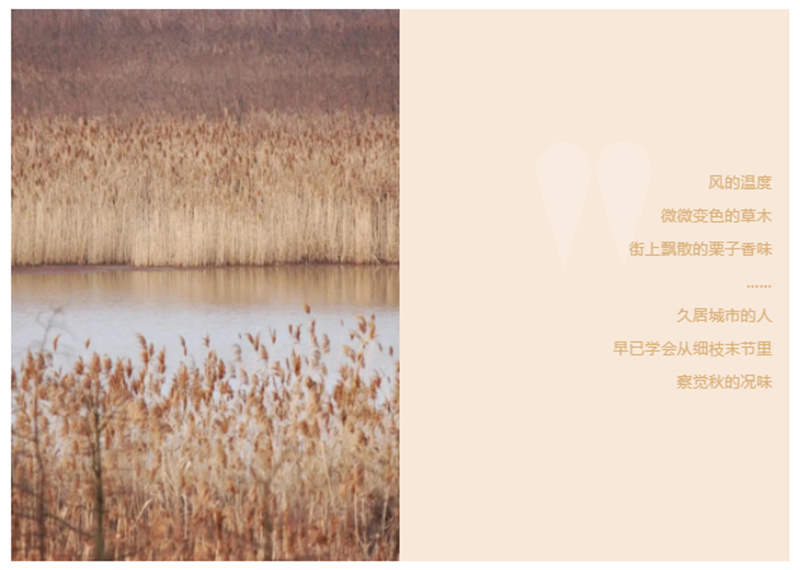 CIELOBLU | 基路伯「奶咖色」，為生活注入一份甜(圖1)